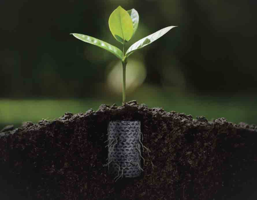 890x694_ellepot_plant.jpg