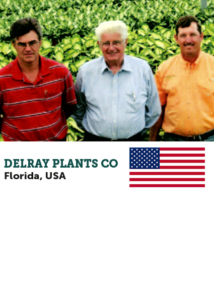 DELRAY PLANTS_ellepot.jpg