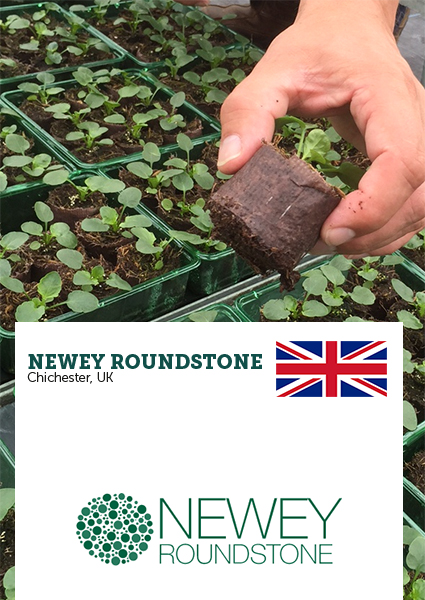 Newey Roundstone_ellepot client.jpg