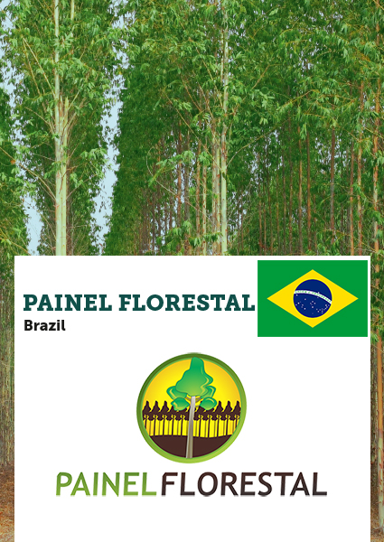 Painel Florestal_client ellepot.jpg