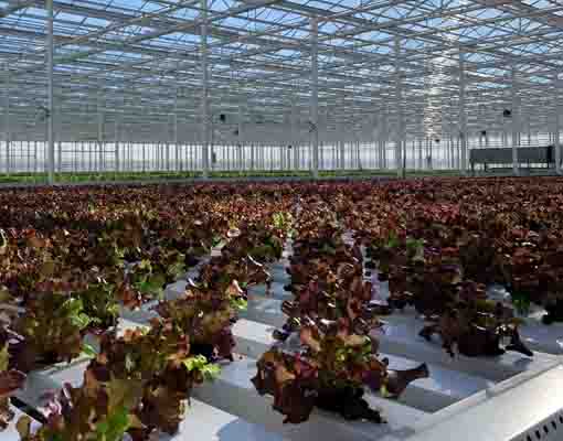 510X400 Ellepot Gutter Filler Green And Environment Friendly System