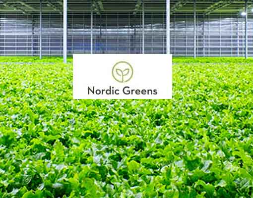 510X400 Nordic Greens Ellepot Sleeve System