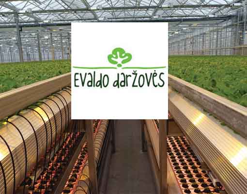 510X400 Ellepot Customer Lithuanian Company Evaldo Daržovės