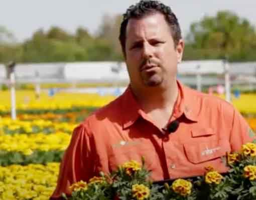 Ellepot Customer Knox nursery, USA