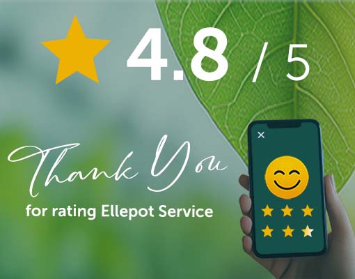 Ellepot Service in top class