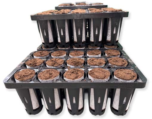 Ellepot Propagation Tray 015Global for Ø80 Ellepots